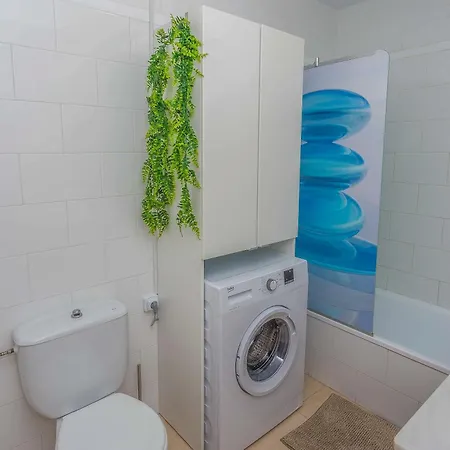 Cozy Beachfront Getaway 1br Apartment